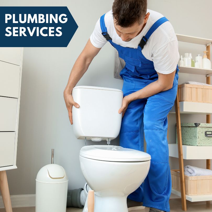 Plumbing Company in Ellis Grove, IL